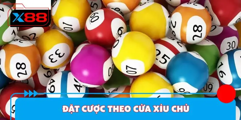 Đặt cược theo cửa xỉu chủ