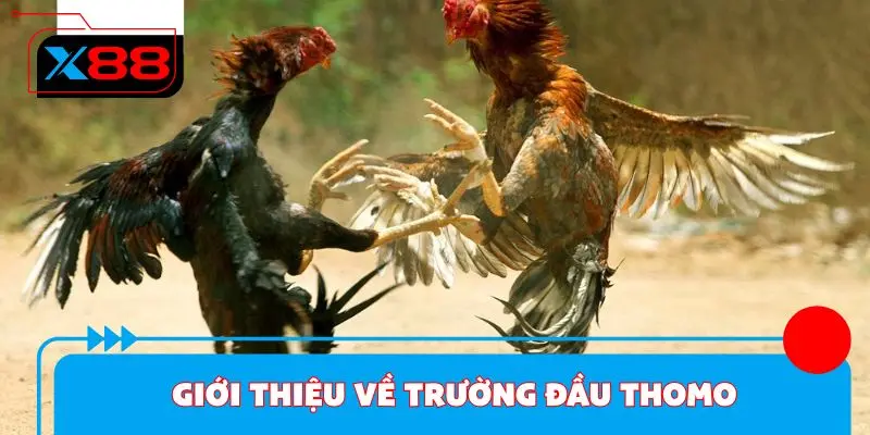 Giới thiệu đôi nét về trường đầu Thomo