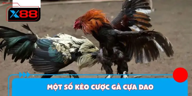 Một số kèo cược gà cựa dao